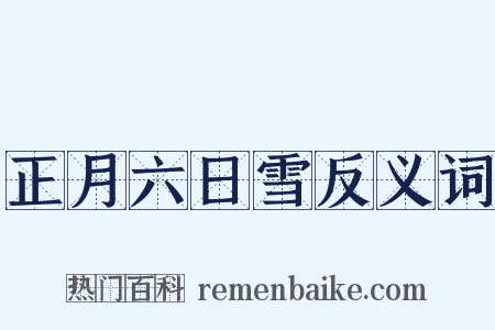 正月六日雪反义词是什么意思的图片